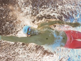 博人传全集在线观看免费