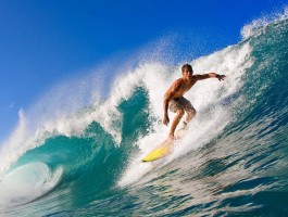 八波足球比分官网