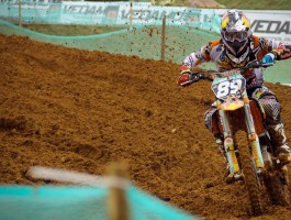 im电竞怎么下载